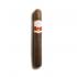 Casa Turrent 1880 Maduro Double Robusto Cigar - 1 Single